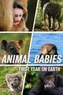 Animal Babies: First Year on Earth