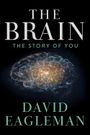 The Brain with Dr. David Eagleman