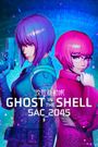 Ghost in the Shell SAC_2045