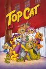 Top Cat